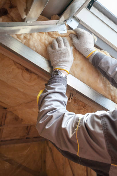 Professional Insulation Contractor in FL